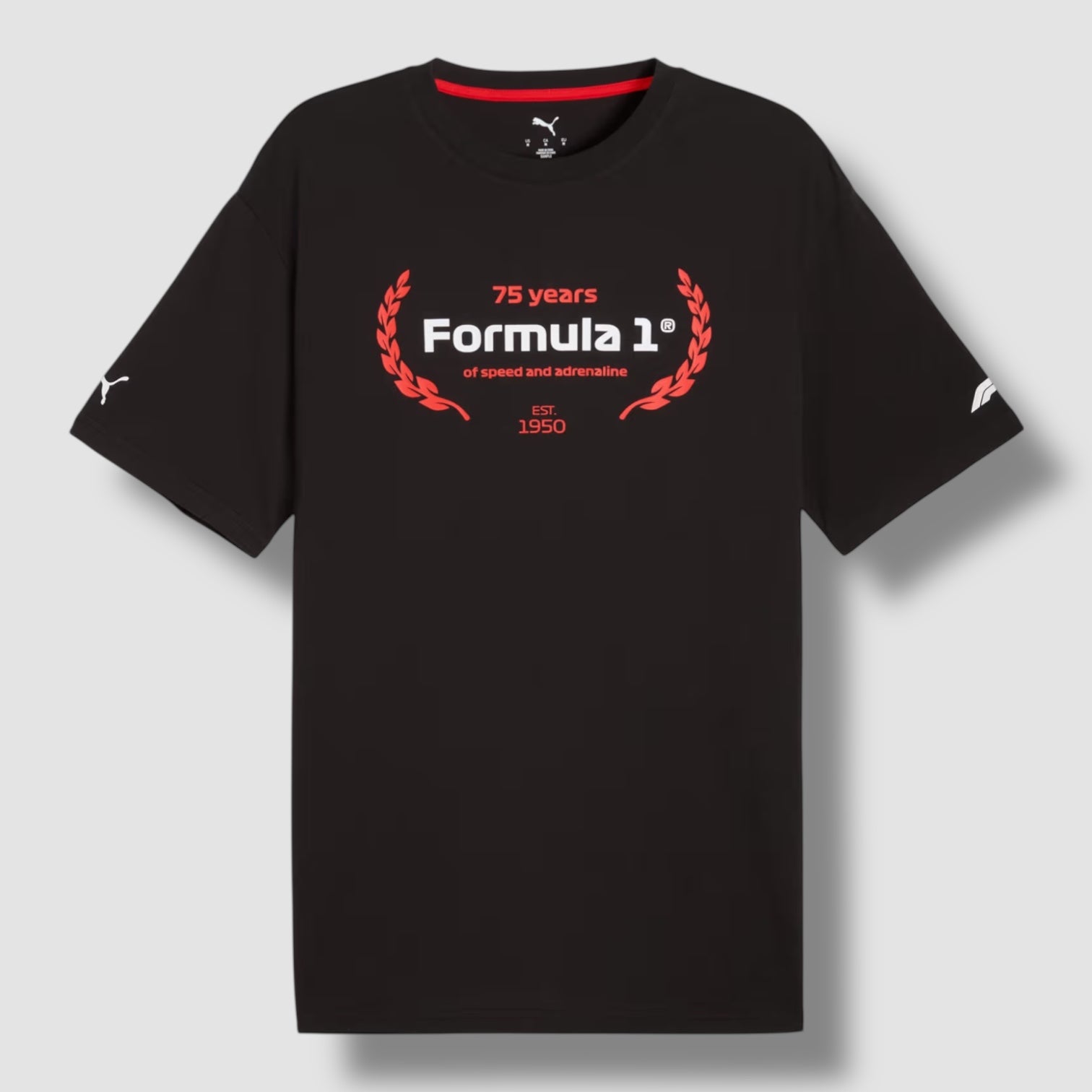 F1 ESSENTIALS