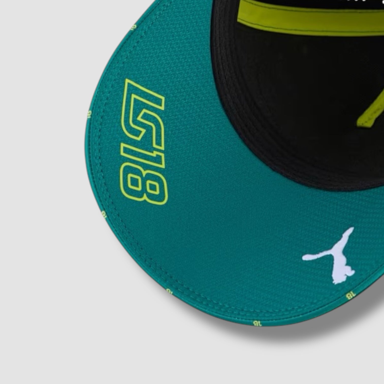 ASTON MARTIN FANS PUMA TEAM BB CAP