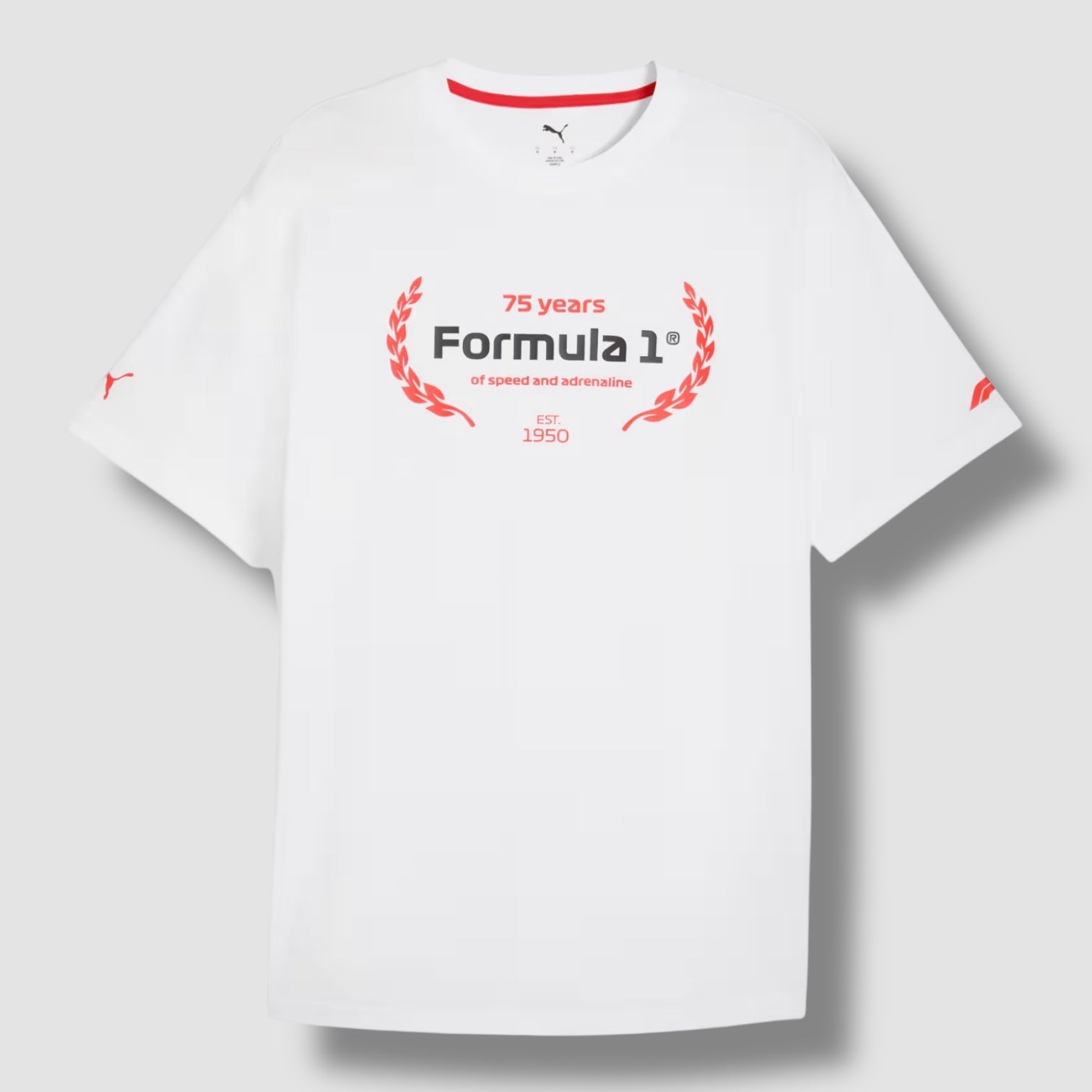 F1 ESSENTIALS